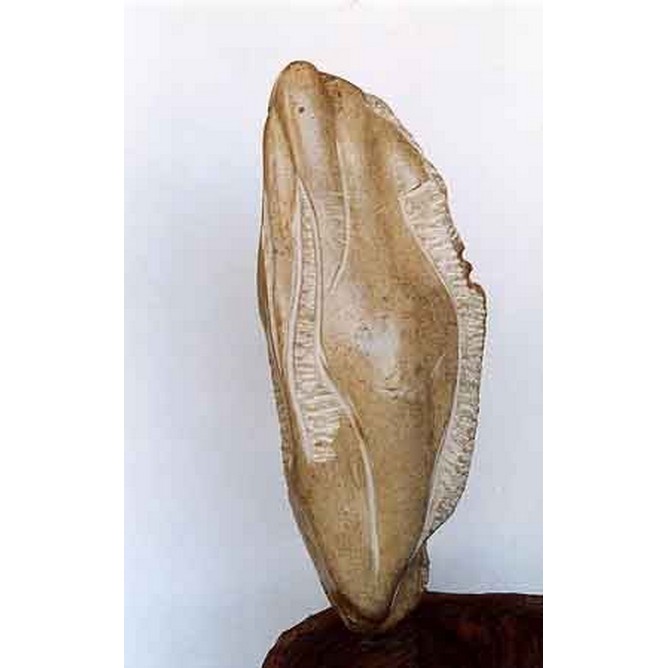 Venere